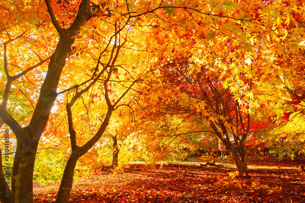 (Copy)コラム記事テスト