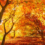 (Copy)コラム記事テスト