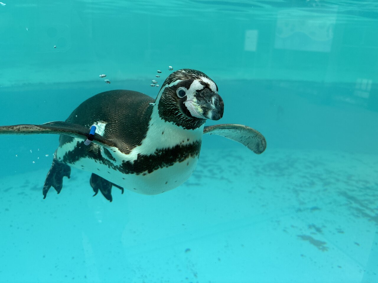 コラム記事テスト!!!!