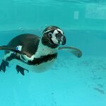 コラム記事テスト!!!!